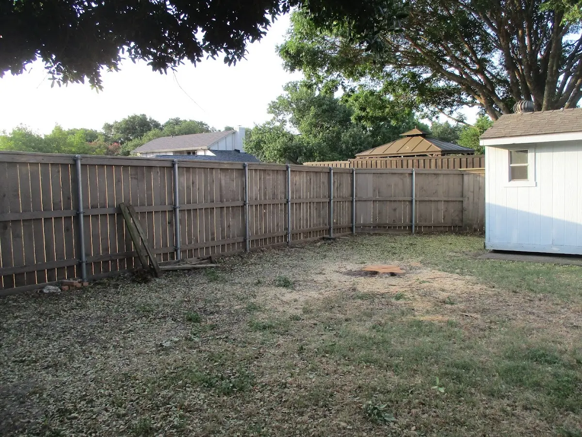 Cleared yard after professional tree removal in Reinholds
